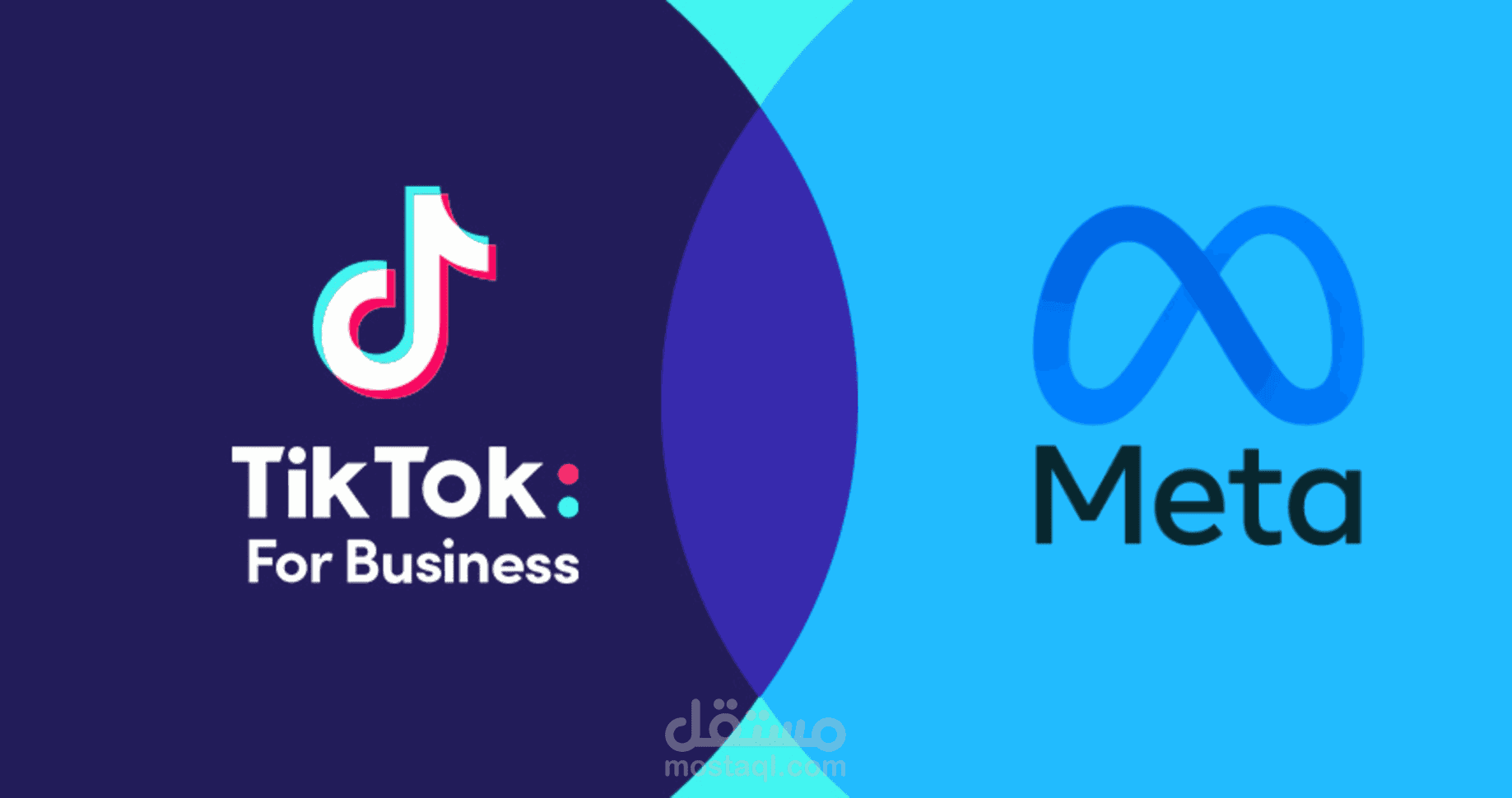 meta and tiktok ads results