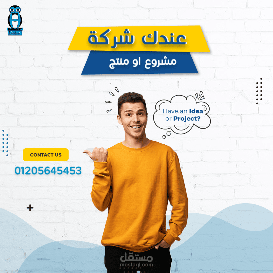 Social media design for habashy advertising company