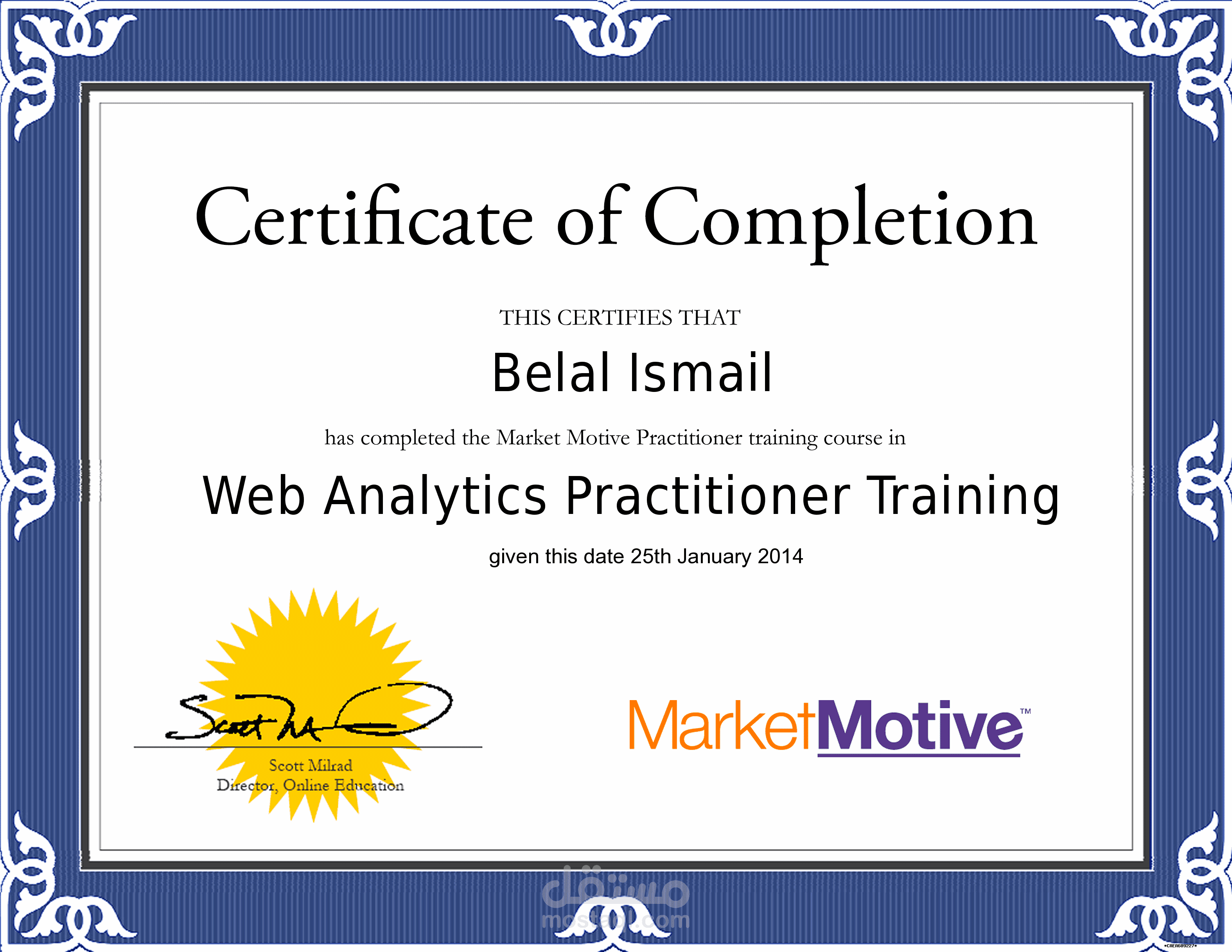 Web Analytics
