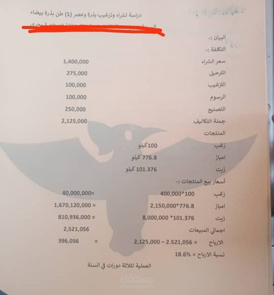 عمل دراسات جدوى