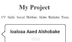 صفحة ويب لعرض السيرة الذاتية (CV Page)