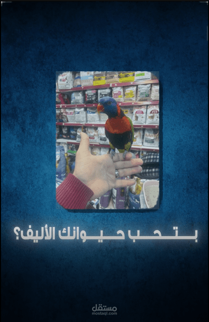 اعلان لمحل طيور وحيوانات اليفة