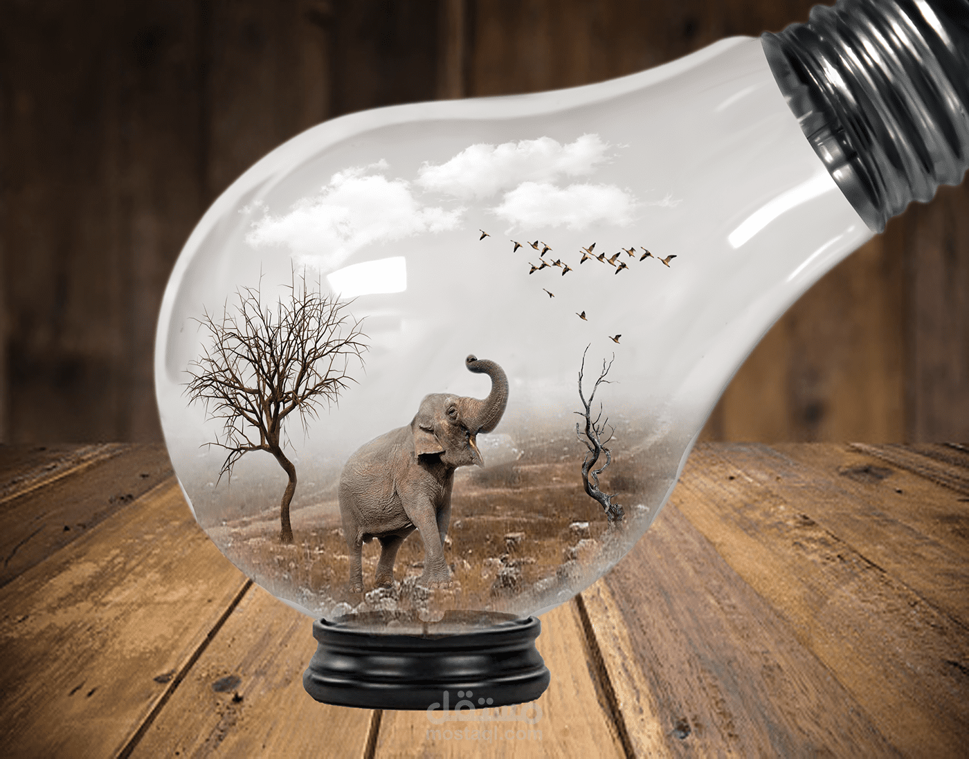 Elephant in blub