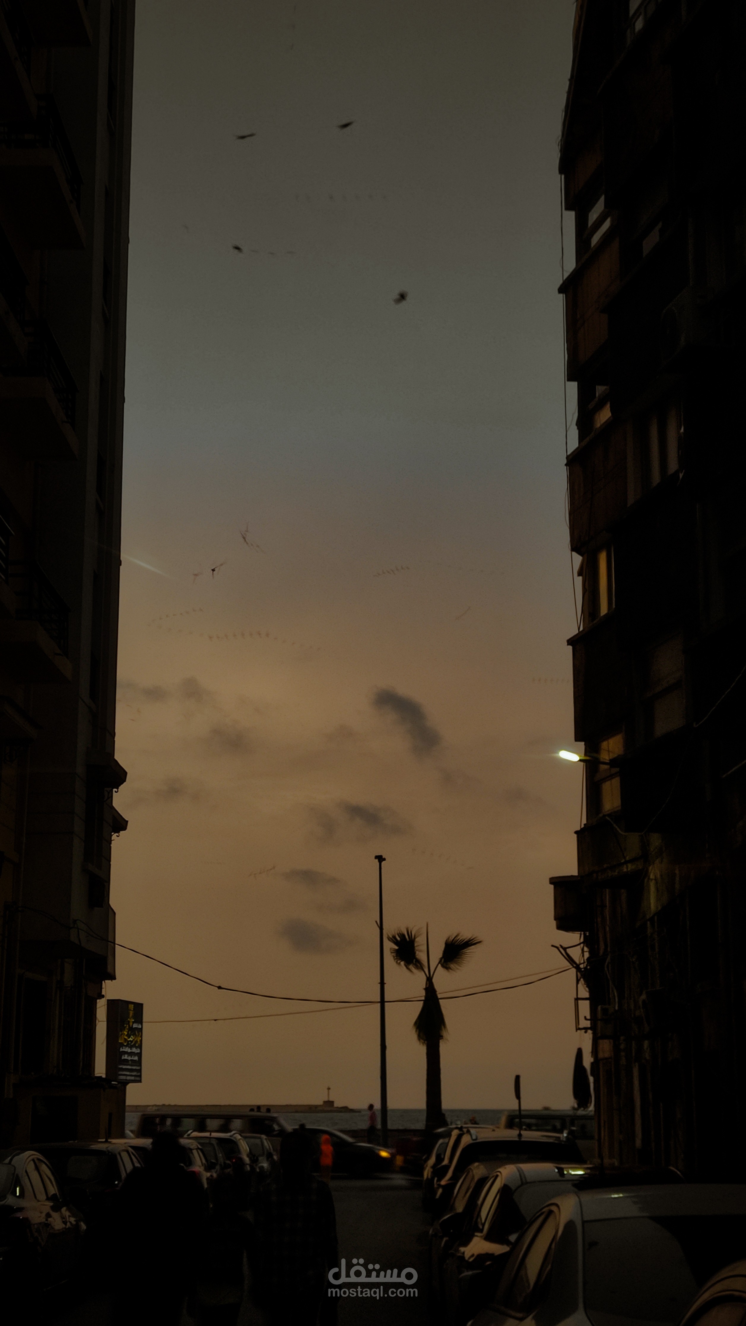 خريف فى مصر