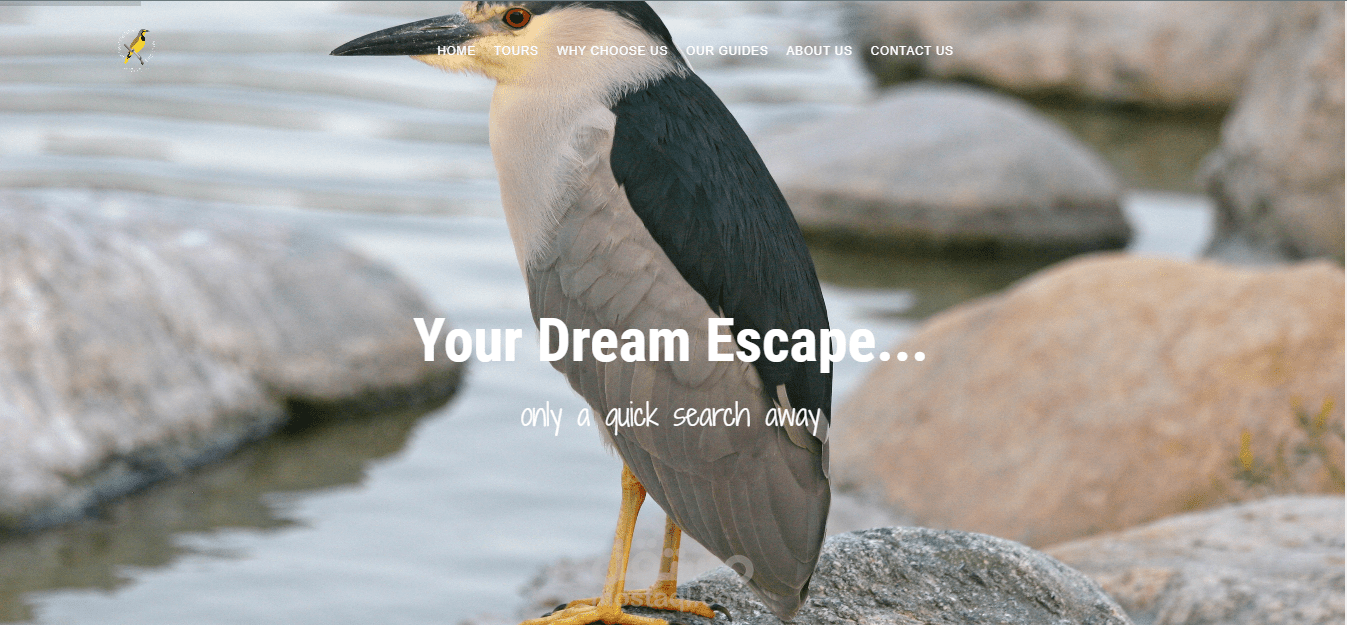 Travel IN Travel Website