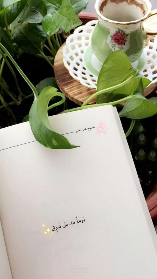 إدارة صفحات محتوى نسائي