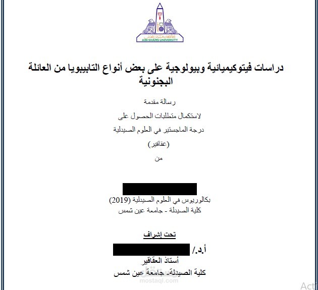 تدقيق لغوي لملخص رسالة ماجيستير