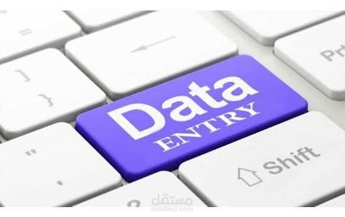 إدخال بيانات