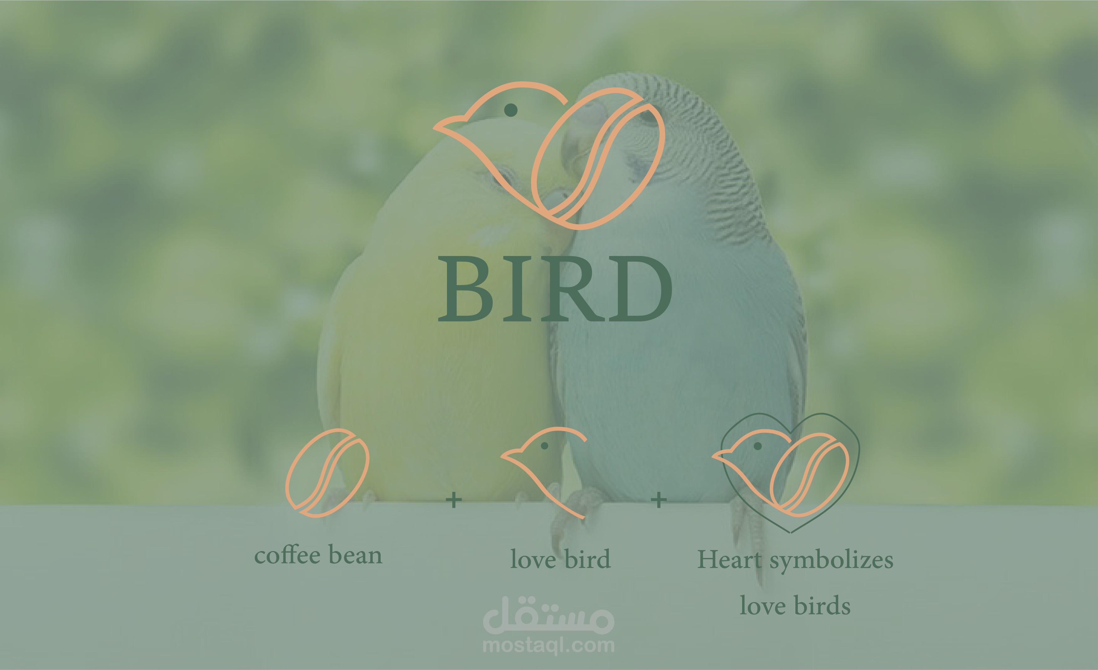 Bird cafe