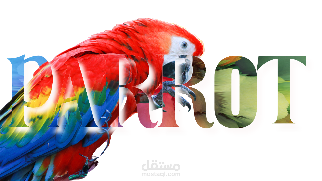 parrot
