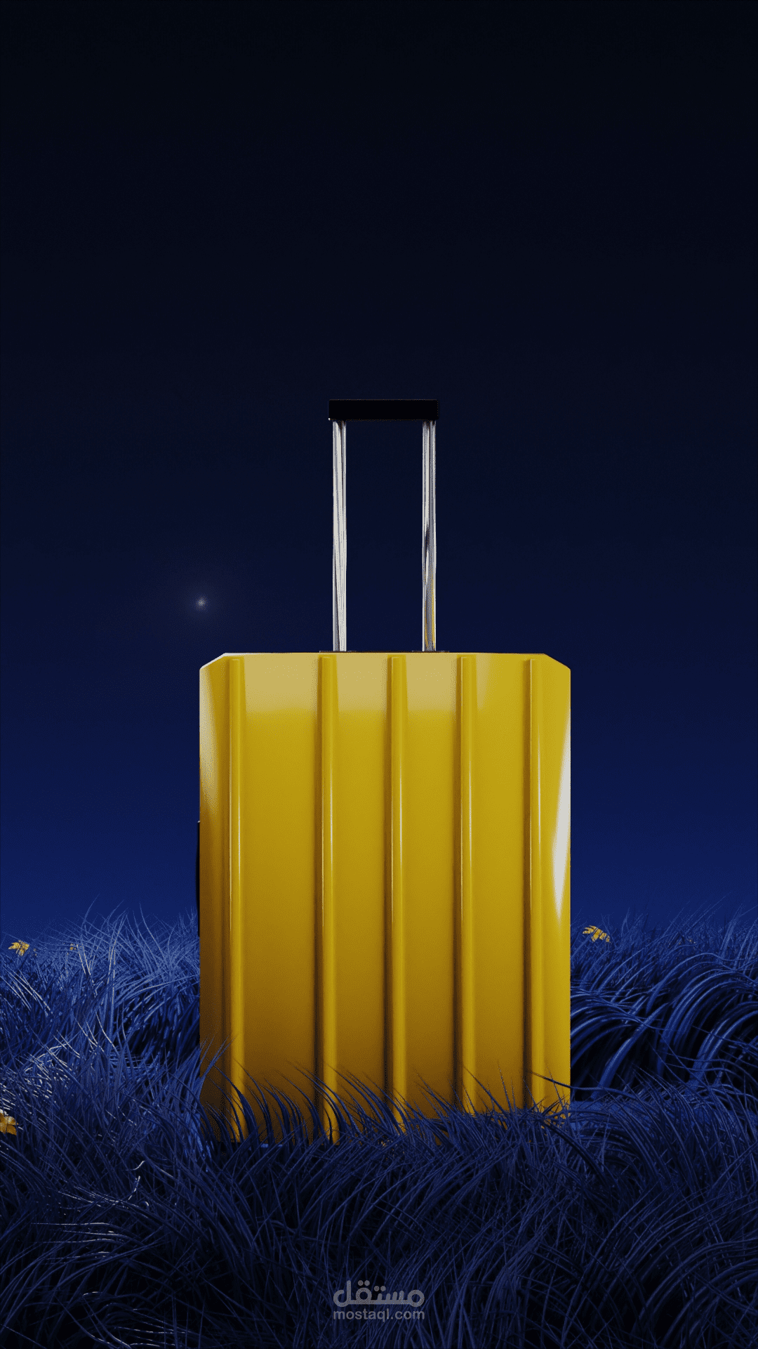 3D animation for my travelling bag
