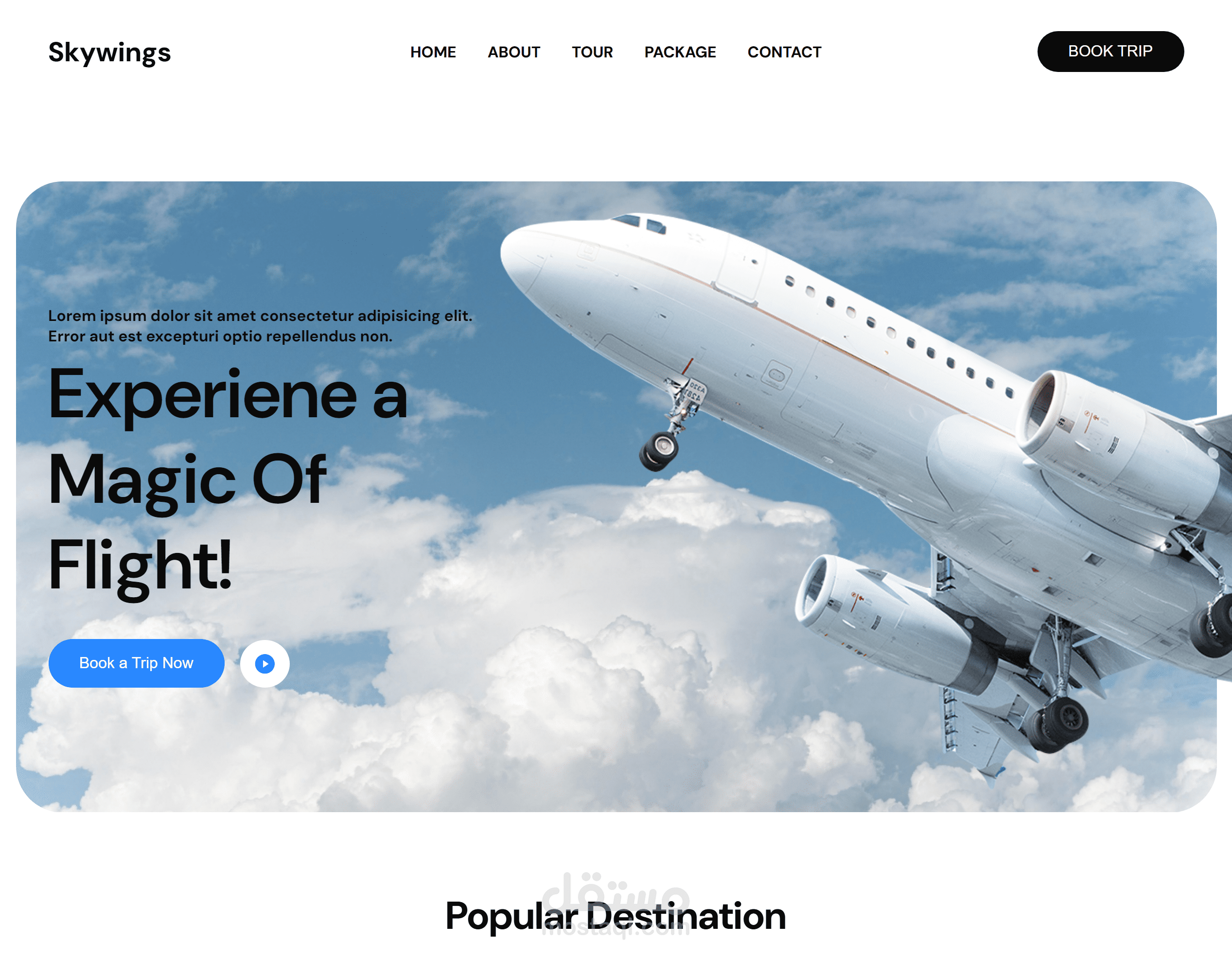 Skywing