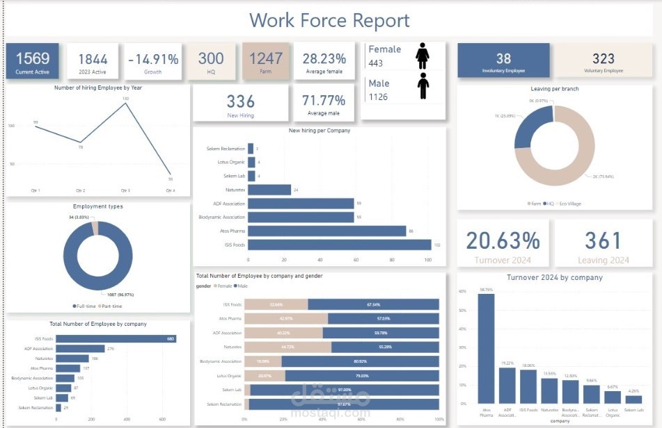 تحليل البيانات وتصميم لوحات تحكم تفاعلية لبيانات الموارد البشرية