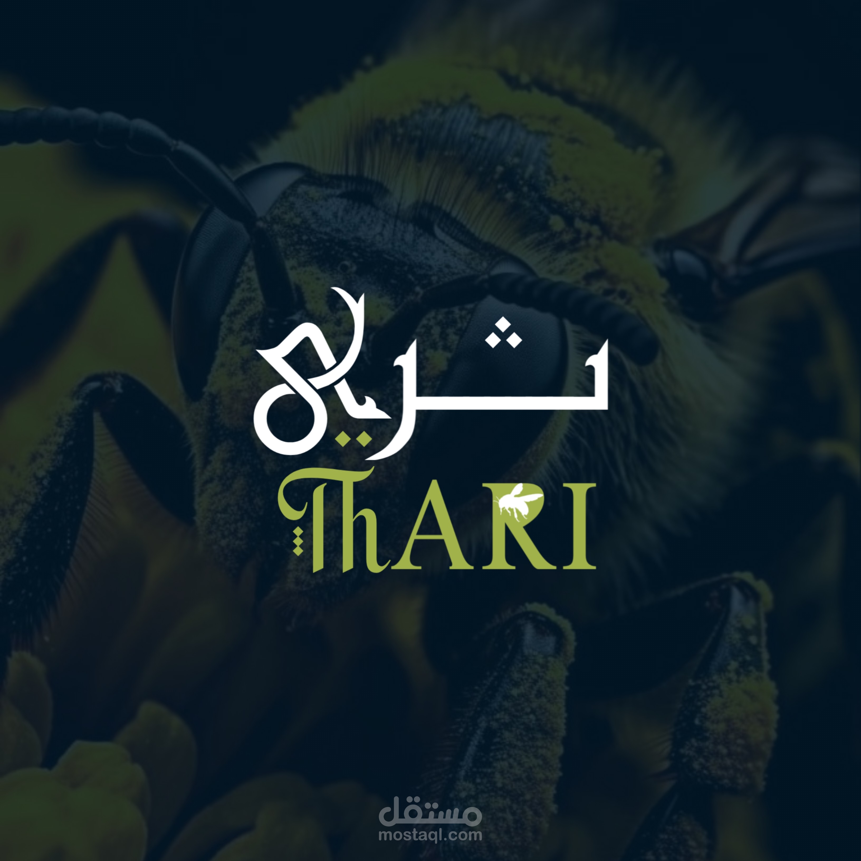 تصميم هوية تجارية أحترافيه