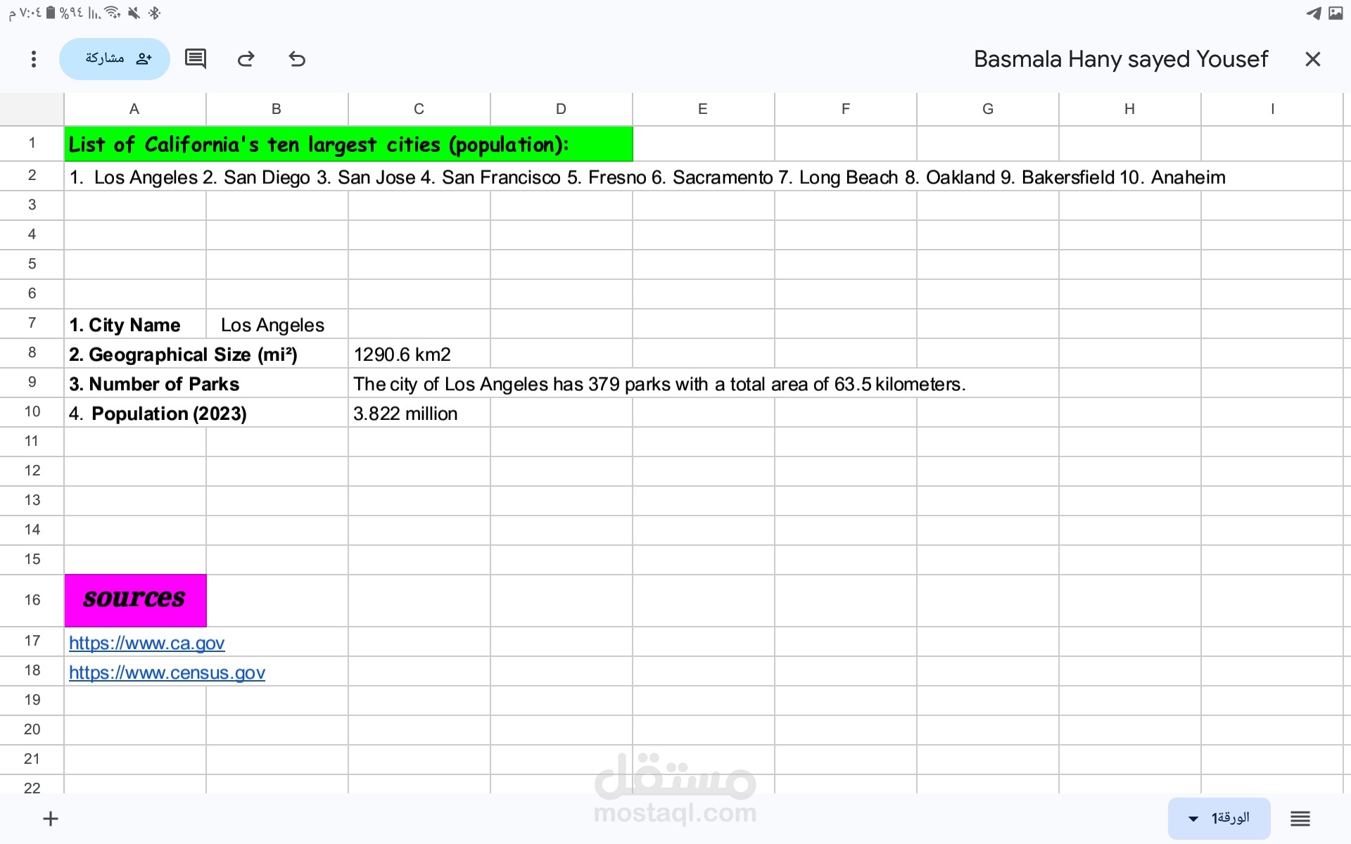 تنظيم و ادخال بيانات علي Excel بجودة عالية