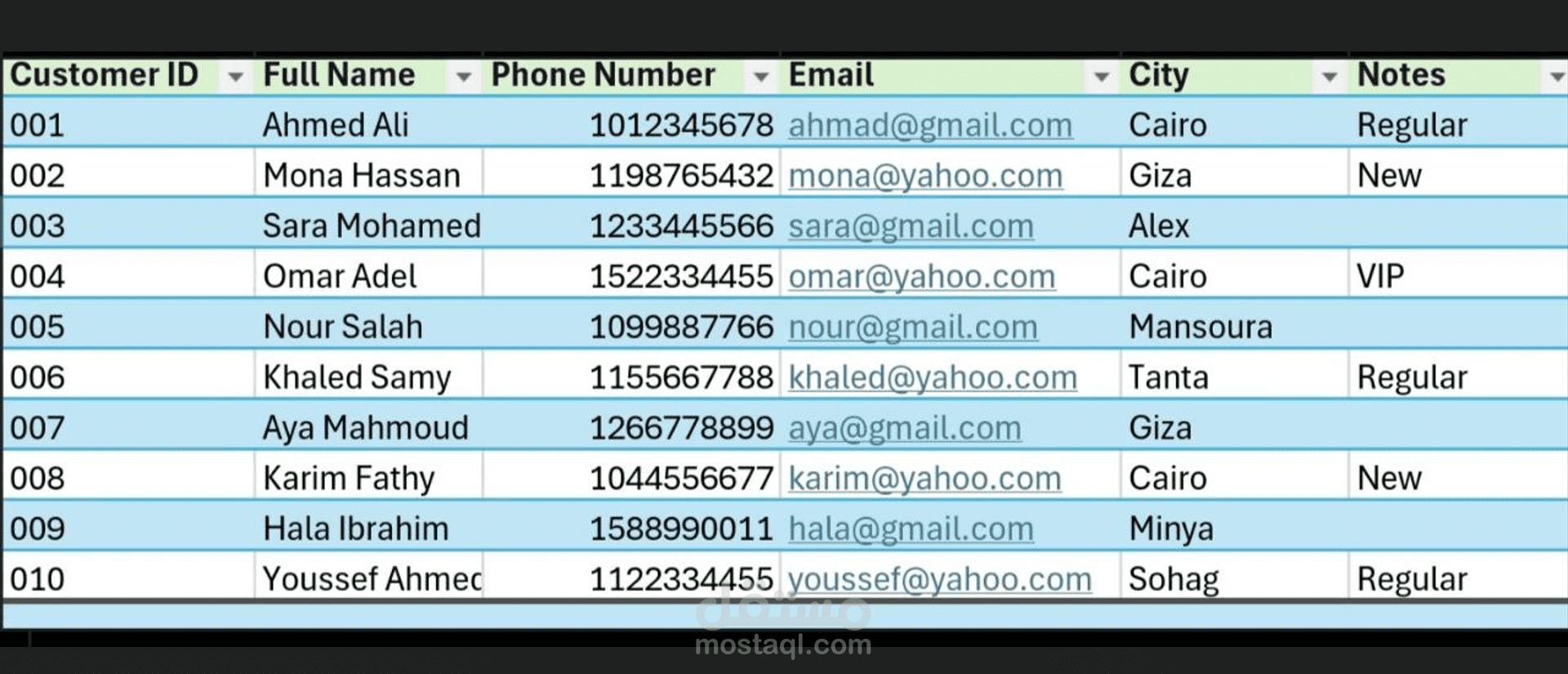 إدخال وتنظيم بيانات العملاء على Excel