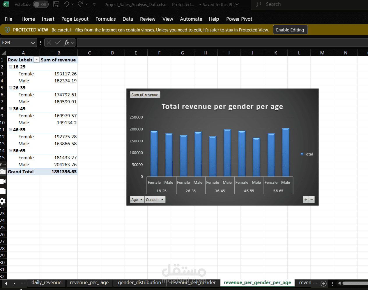 مشروع تحليل بيانات باستخدام excel