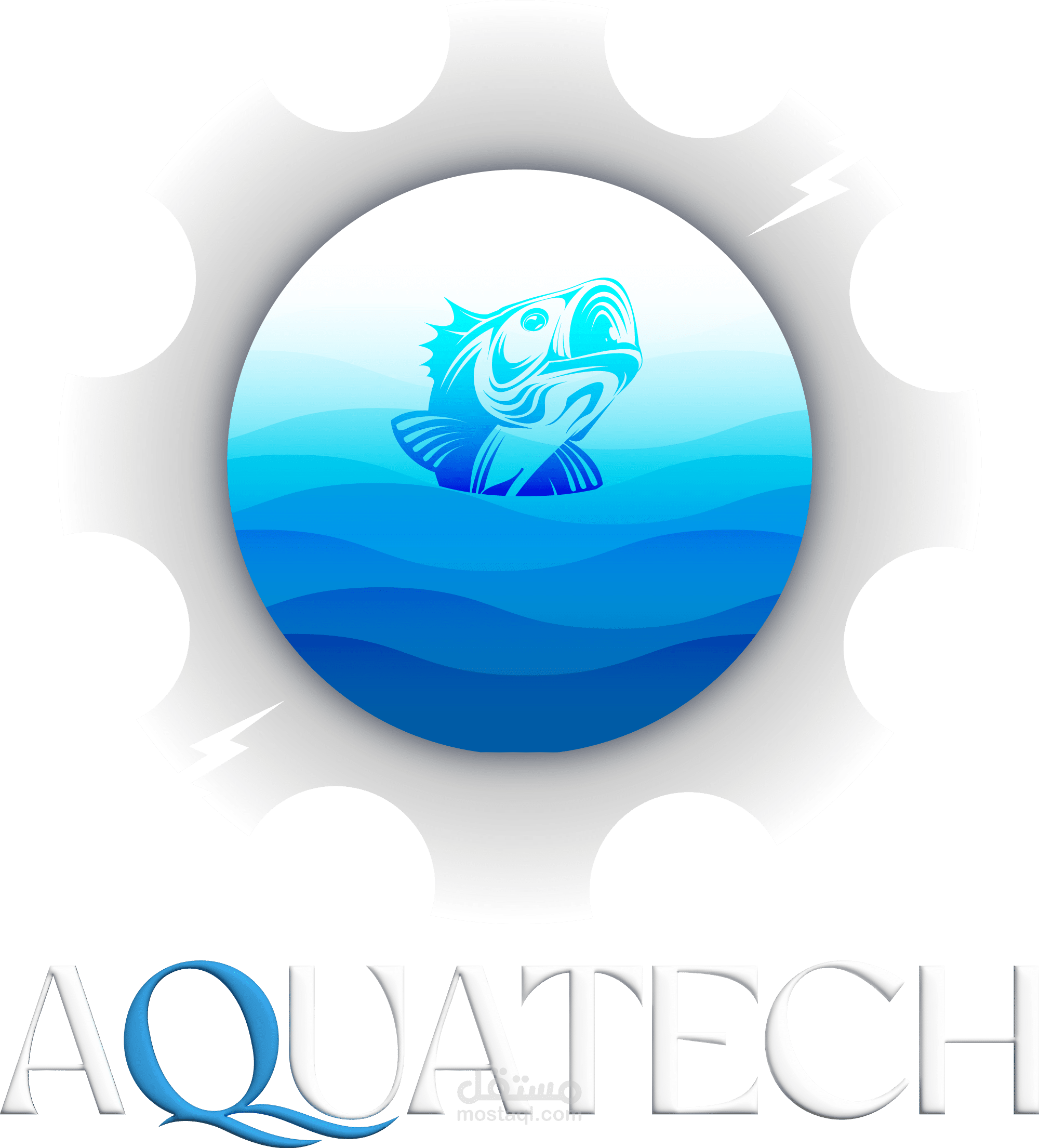 موقع لمشروع تكنولوجيات صيد الأسماك الرقمية