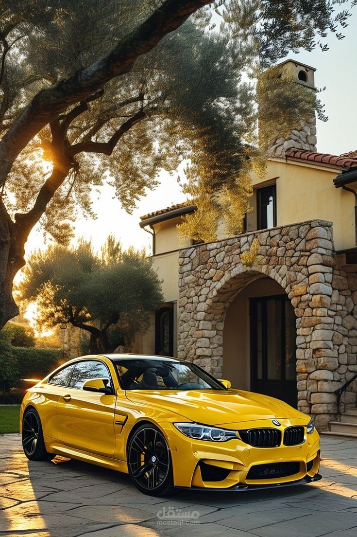 تصميم سوشيال ميديا