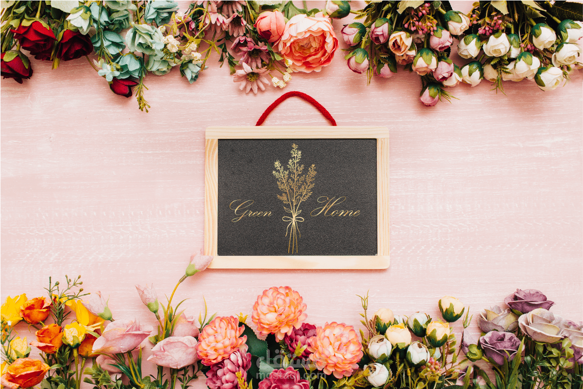 تصميم لوجو (تصميم شعار)