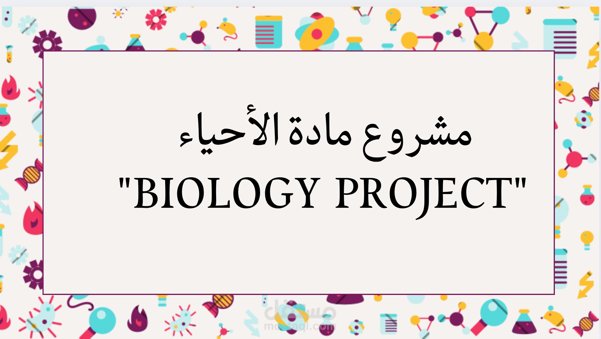 عرض تقديمي