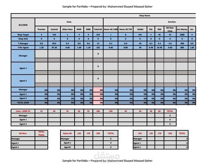 Data entry - Excel Dashboard for Telecom Company