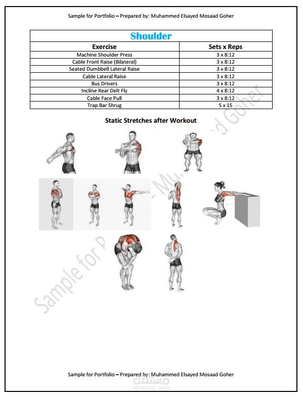 Health & Fitness (Pro Split - Shoulder Workout) & (Rehabilitation Workout Plan 2 Days per Week)