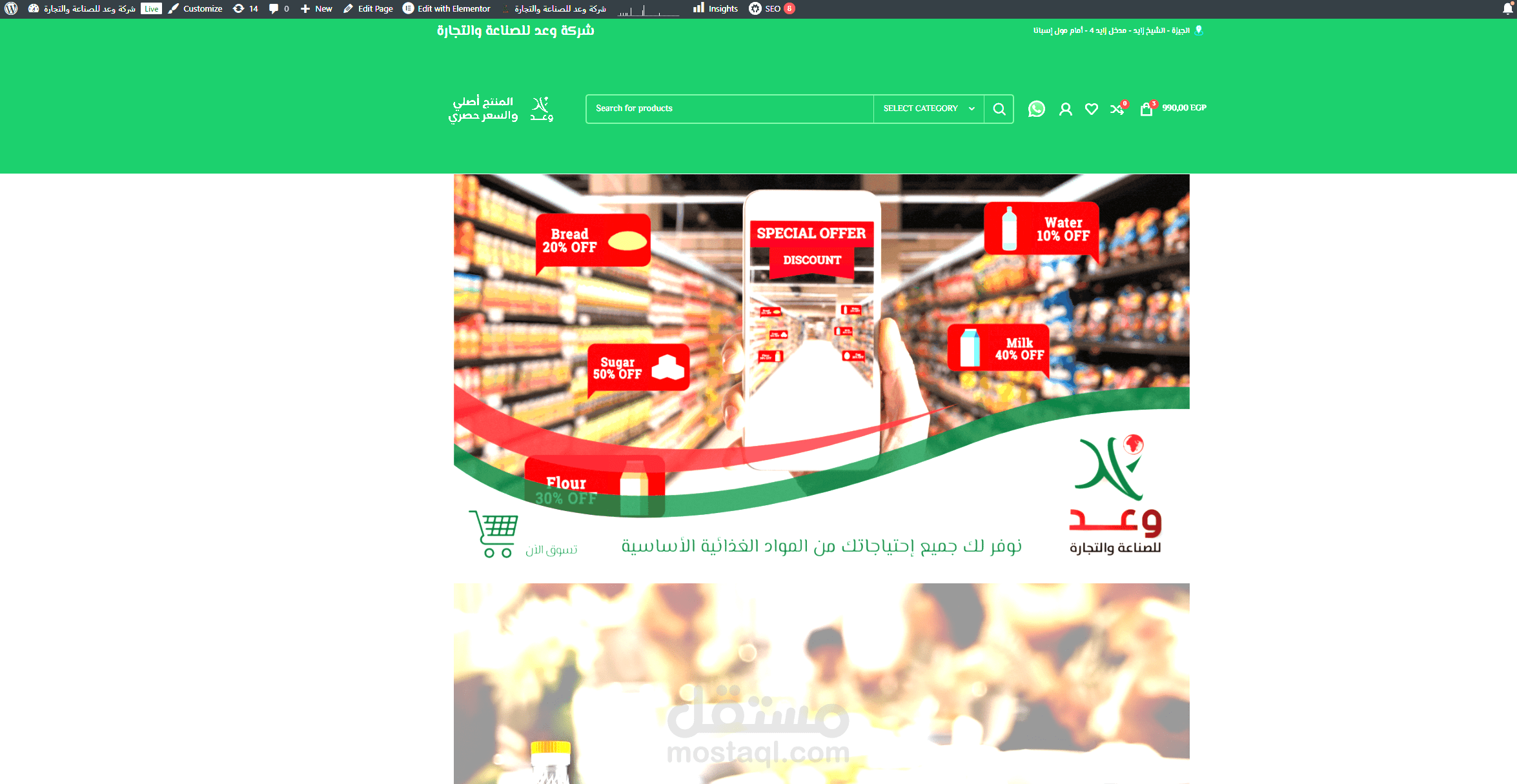 e commerce WordPress website for Egyptian company