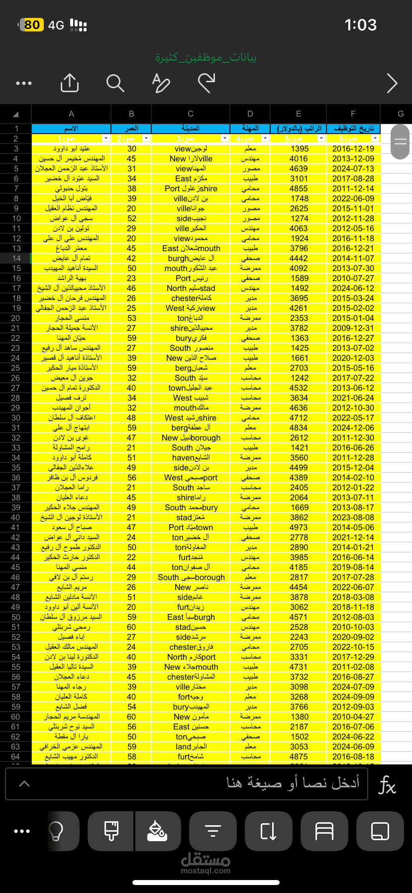ادخال البيانات