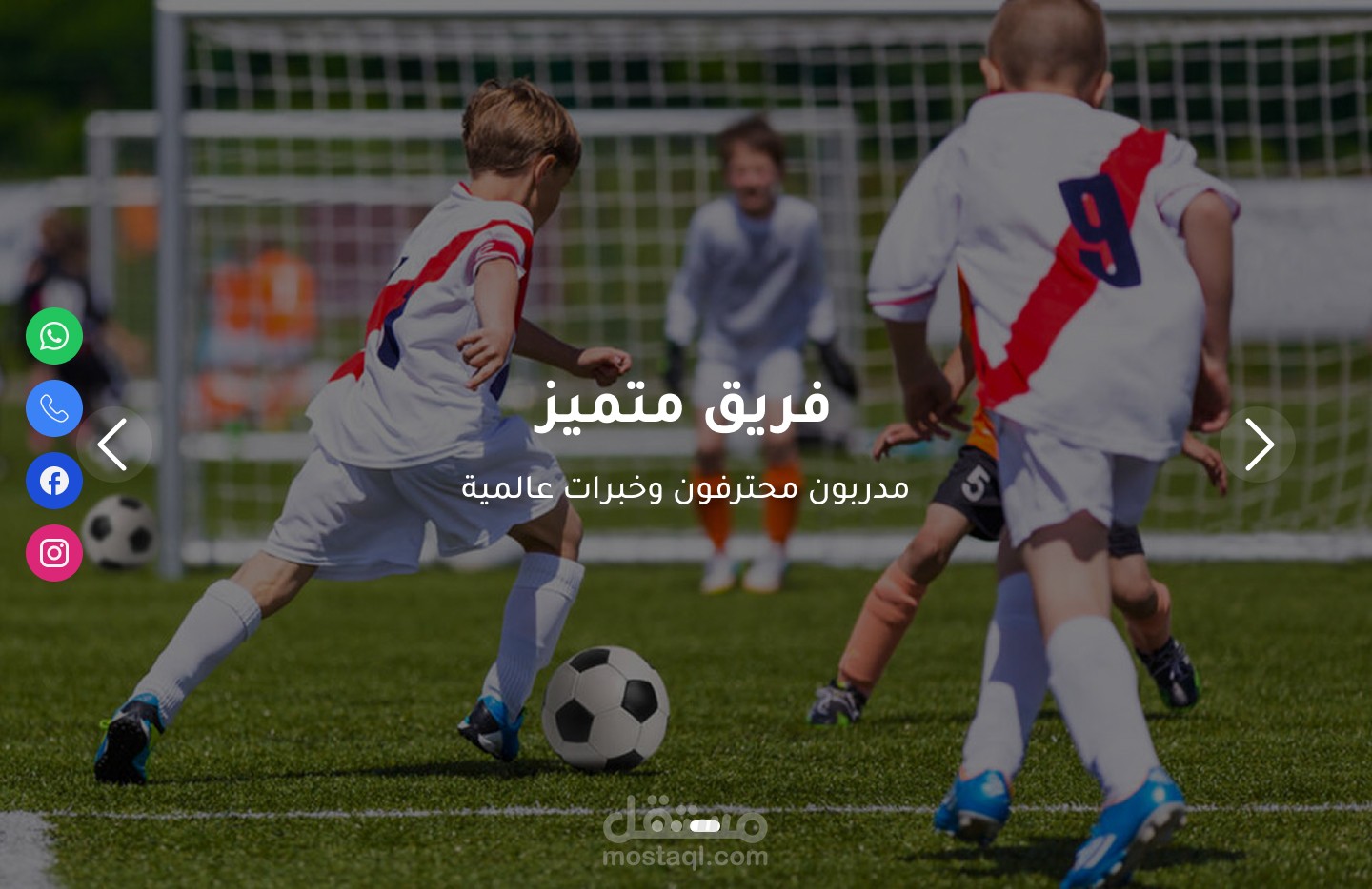 UI/UX Web Design (Lion Aim Academy)