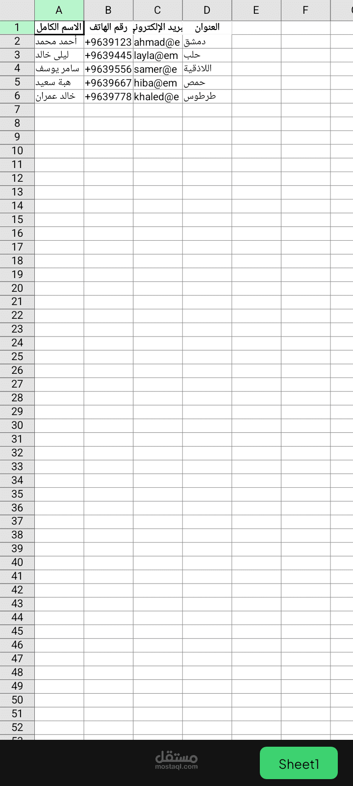 ملف إدخال بيانات العملاء (Excel)
