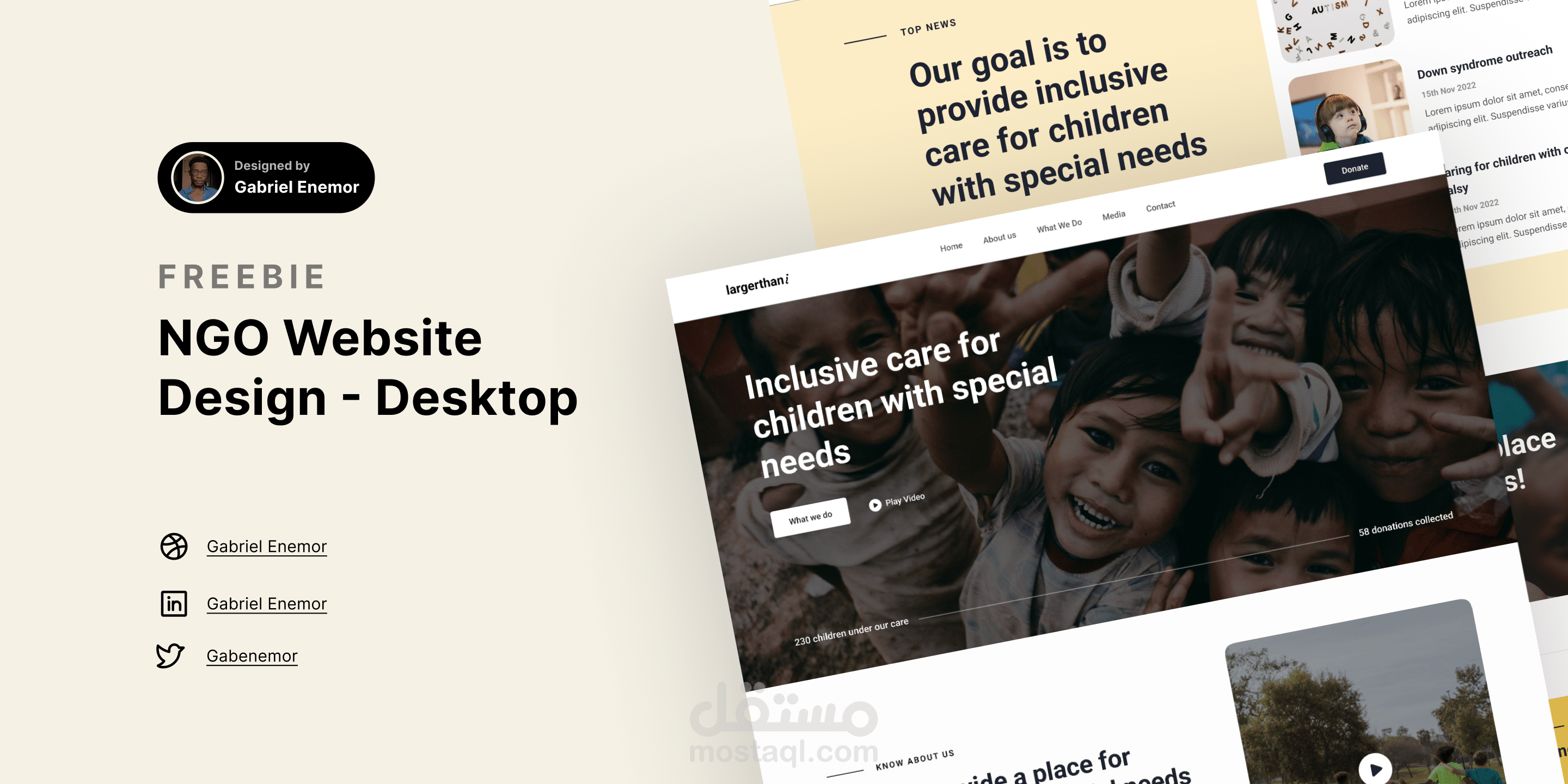 NGO Web Design - Desktop only