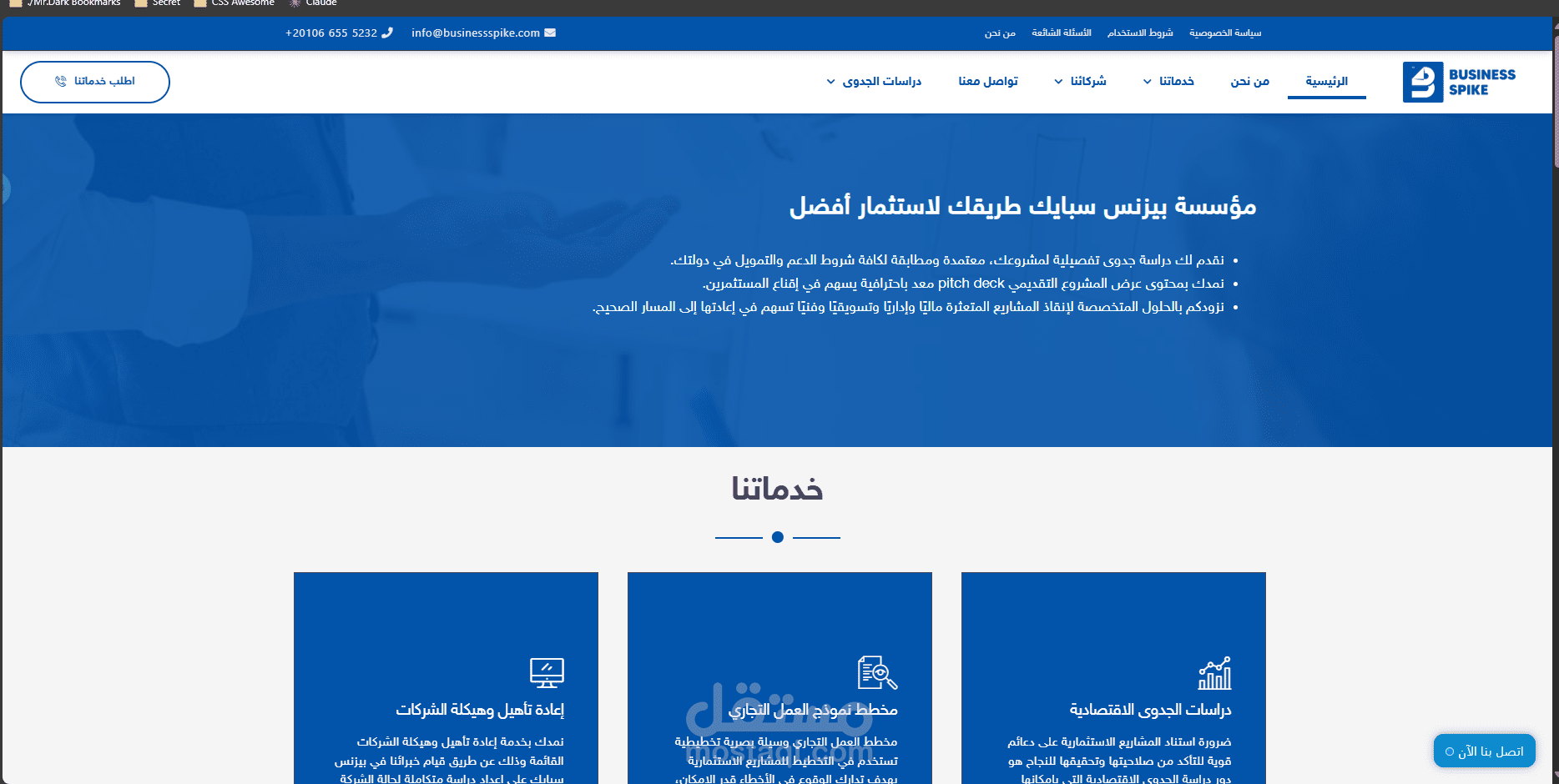 الموقع الرسمي لشركة بيزنيس سبايك