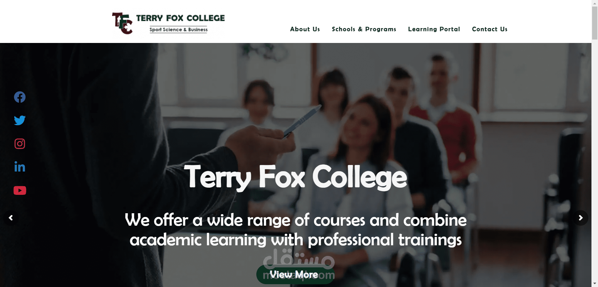 Terry Fox College Website
