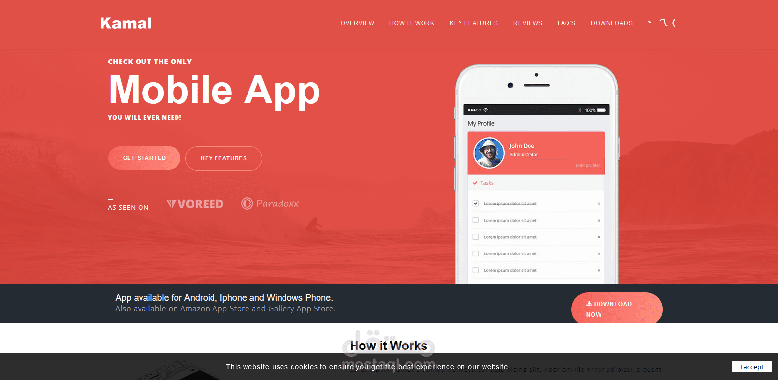 AMP Valid Page Template