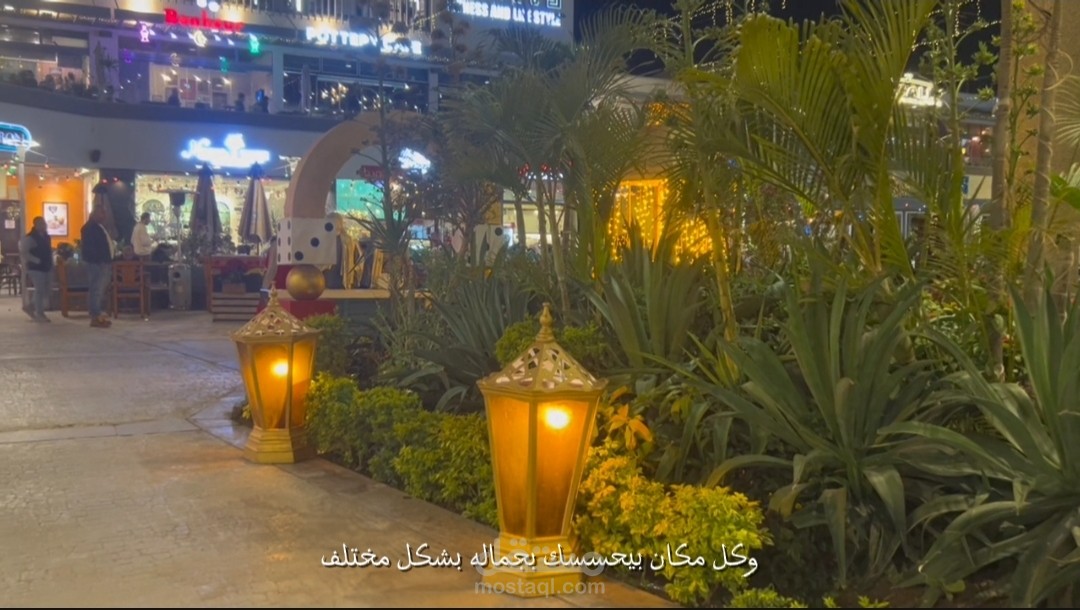 فيديو عن courtyard maadi  'vlog'