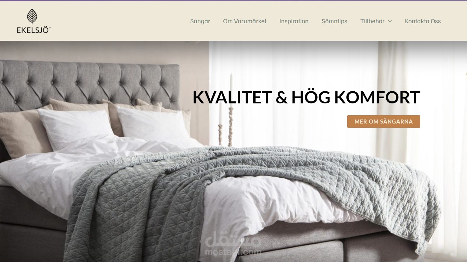 تصميم (Brand WebSite) باستخدام WordPress
