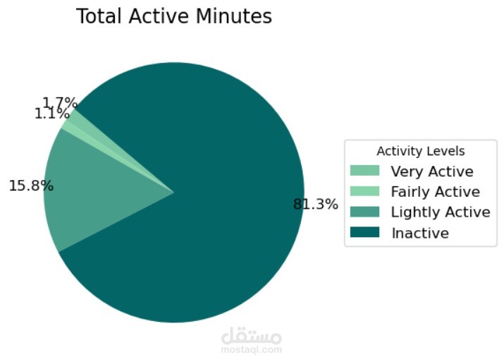 Smartwatch Data Analysis