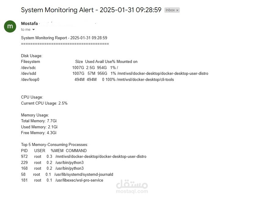 System Monitoring Script