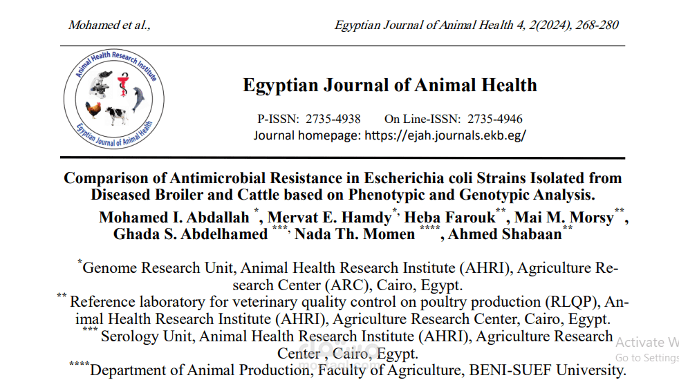 Comparison of Antimicrobial Resistance in Escherichia coli Strains Isolated from Diseased Broiler and Cattle based on Phenotypic and Genotypic Analysis. (2024)Egyption journal of animal health.