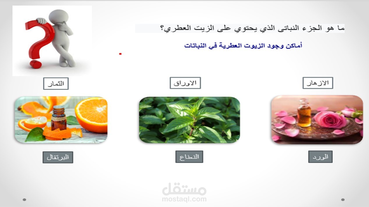 انشاء العروض التقديميه