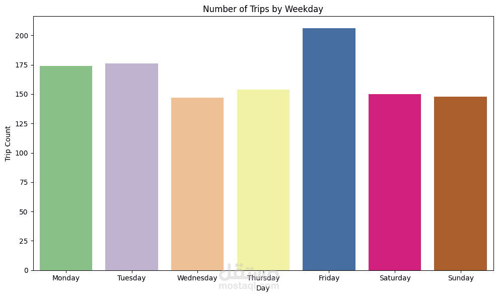 Uber Trips Analysis – يناير 2025