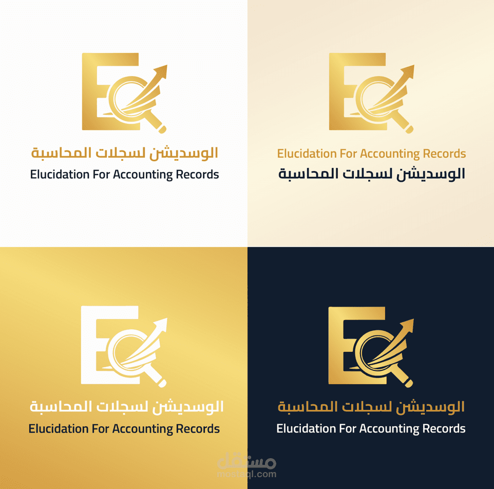 تصميم شعار لشركة مختصة في ادارة السجلات المحاسبية