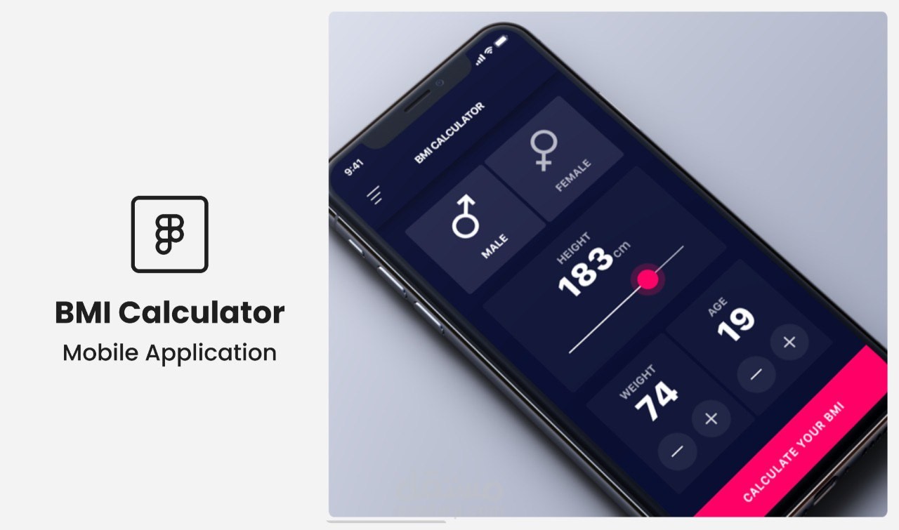 تصميم وبرمجة تطبيق حاسبة مؤشر كتلة الجسم BMI Calculator