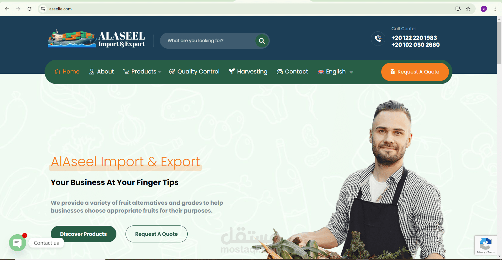 تصميم موقع AlAseel Import & Export بأستخدام WordPress
