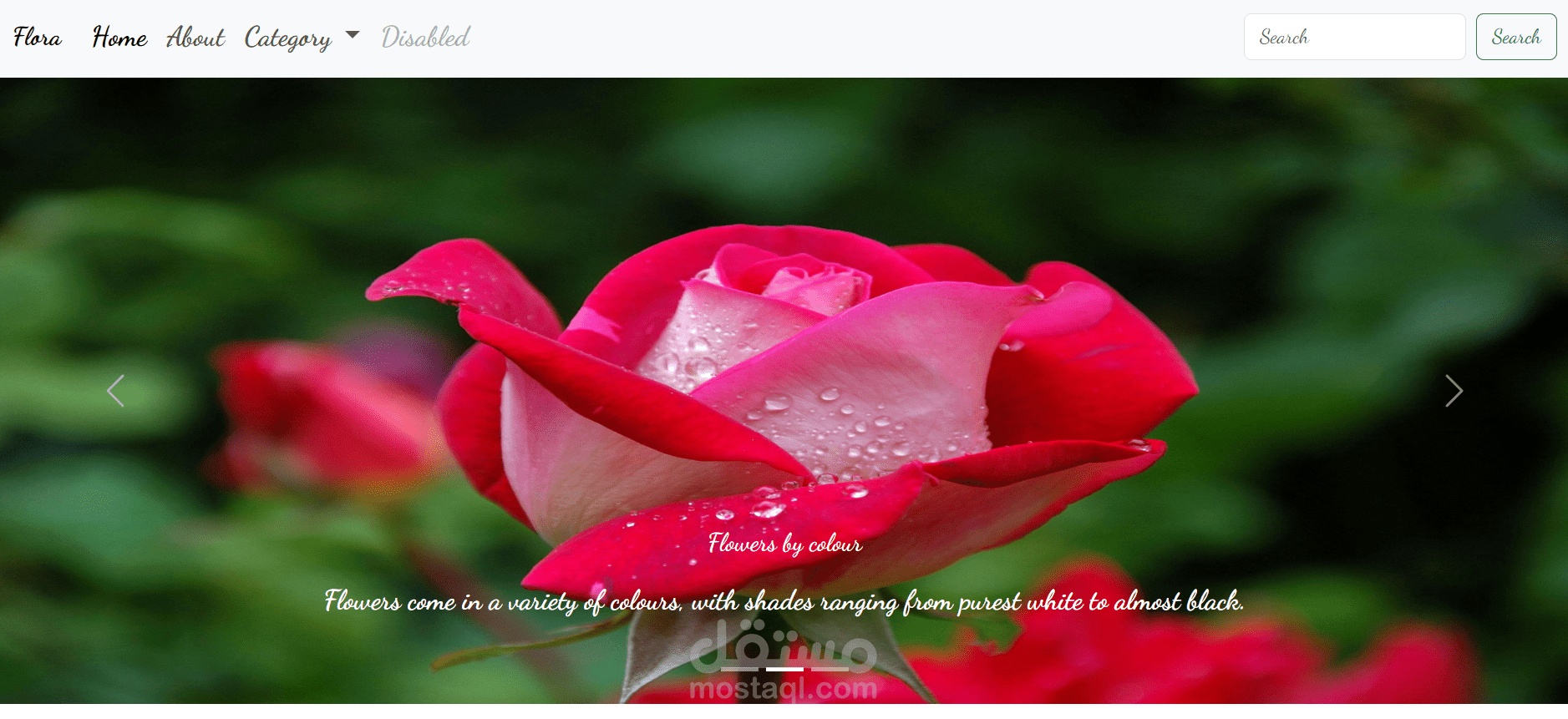 (صفحة رئيسية)Home Page