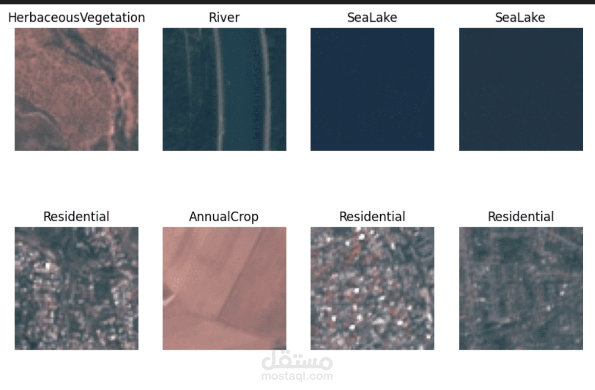 Data Analyst & Deep Learning Engineer
