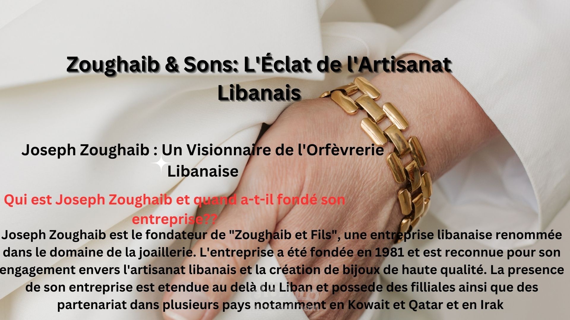 PowerPoint presentation about zoughaib & fils