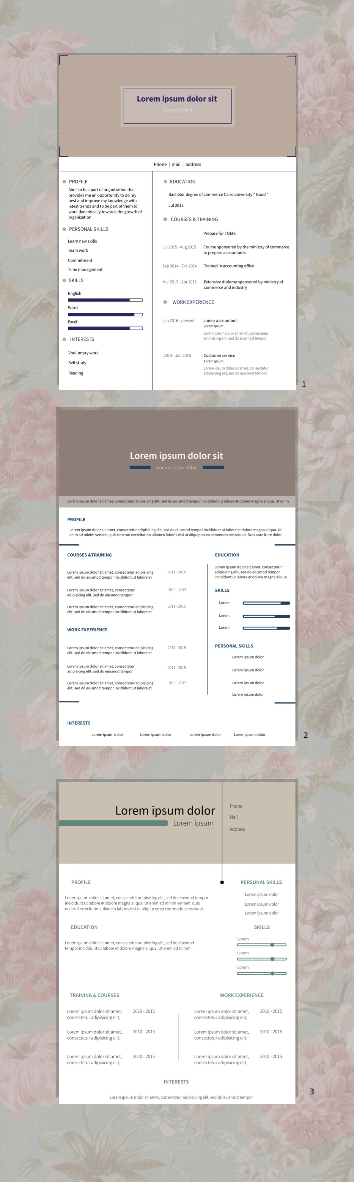 سيرة ذاتية C.V