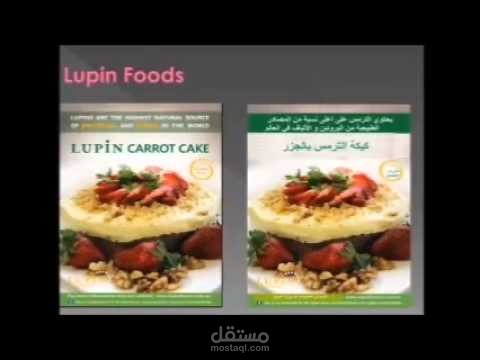 ترجمة ملصقات دعائية